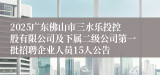 2025广东佛山市三水乐投控股有限公司及下属二级公司第一批招聘企业人员15人公告