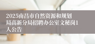 2025南昌市自然资源和规划局高新分局招聘办公室文秘岗1人公告