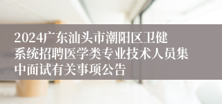 2024广东汕头市潮阳区卫健系统招聘医学类专业技术人员集中面试有关事项公告