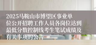 2025马鞍山市博望区事业单位公开招聘工作人员各岗位达到最低分数控制线考生笔试成绩及有关事项的公告