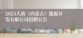 2025大唐（内蒙古）能源开发有限公司招聘公告