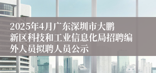 2025年4月广东深圳市大鹏新区科技和工业信息化局招聘编外人员拟聘人员公示