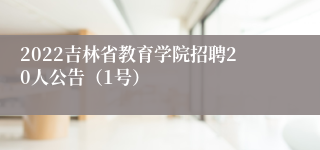 2022吉林省教育学院招聘20人公告（1号）