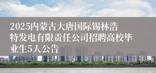 2025内蒙古大唐国际锡林浩特发电有限责任公司招聘高校毕业生5人公告