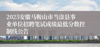 2025安徽马鞍山市当涂县事业单位招聘笔试成绩最低分数控制线公告