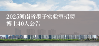 2025河南省墨子实验室招聘博士40人公告