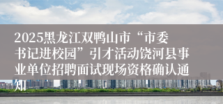 2025黑龙江双鸭山市“市委书记进校园”引才活动饶河县事业单位招聘面试现场资格确认通知