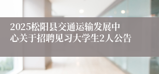 2025松阳县交通运输发展中心关于招聘见习大学生2人公告