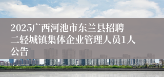 2025广西河池市东兰县招聘二轻城镇集体企业管理人员1人公告