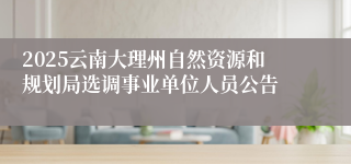 2025云南大理州自然资源和规划局选调事业单位人员公告