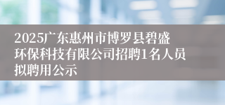 2025广东惠州市博罗县碧盛环保科技有限公司招聘1名人员拟聘用公示