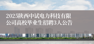 2025陕西中试电力科技有限公司高校毕业生招聘3人公告
