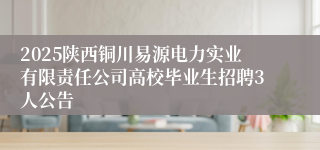 2025陕西铜川易源电力实业有限责任公司高校毕业生招聘3人公告
