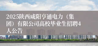 2025陕西咸阳亨通电力（集团）有限公司高校毕业生招聘4人公告