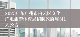 2025广东广州市白云区文化广电旅游体育局招聘政府雇员1人公告