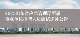 2025山东省应急管理厅所属事业单位招聘人员面试递补公告