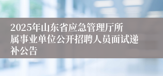 2025年山东省应急管理厅所属事业单位公开招聘人员面试递补公告