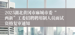 2025湖北黄冈市麻城市委“两新”工委招聘聘用制人员面试资格复审通知