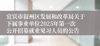 宜宾市叙州区发展和改革局关于下属事业单位2025年第一次公开招募就业见习人员的公告