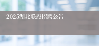 2025湖北联投招聘公告