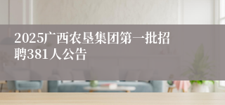 2025广西农垦集团第一批招聘381人公告