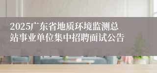 2025广东省地质环境监测总站事业单位集中招聘面试公告