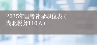 2025年国考补录职位表 (湖北税务110人)