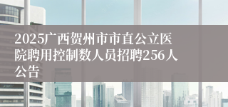 2025广西贺州市市直公立医院聘用控制数人员招聘256人公告