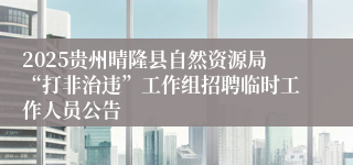 2025贵州晴隆县自然资源局“打非治违”工作组招聘临时工作人员公告