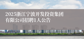 2025浙江宁波开发投资集团有限公司招聘1人公告
