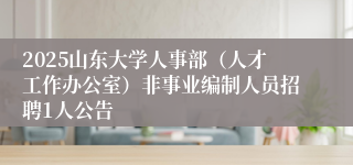 2025山东大学人事部（人才工作办公室）非事业编制人员招聘1人公告