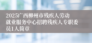 2025广西柳州市残疾人劳动就业服务中心招聘残疾人专职委员1人简章