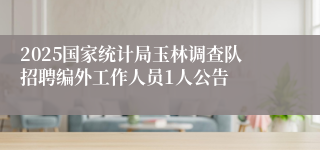 2025国家统计局玉林调查队招聘编外工作人员1人公告