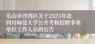 乐山市沙湾区关于2025年赴四川师范大学公开考核招聘事业单位工作人员的公告