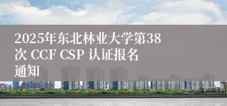 2025年东北林业大学第38次 CCF CSP 认证报名通知