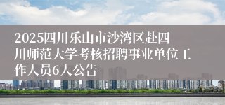 2025四川乐山市沙湾区赴四川师范大学考核招聘事业单位工作人员6人公告