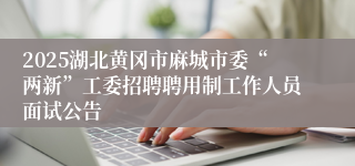 2025湖北黄冈市麻城市委“两新”工委招聘聘用制工作人员面试公告