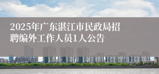 2025年广东湛江市民政局招聘编外工作人员1人公告