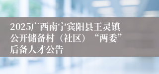 2025广西南宁宾阳县王灵镇公开储备村（社区）“两委” 后备人才公告