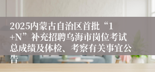 2025内蒙古自治区首批“1+N”补充招聘乌海市岗位考试总成绩及体检、考察有关事宜公告