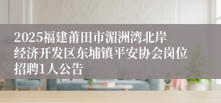 2025福建莆田市湄洲湾北岸经济开发区东埔镇平安协会岗位招聘1人公告