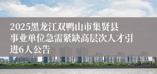 2025黑龙江双鸭山市集贤县事业单位急需紧缺高层次人才引进6人公告