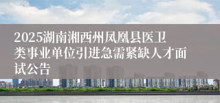2025湖南湘西州凤凰县医卫类事业单位引进急需紧缺人才面试公告