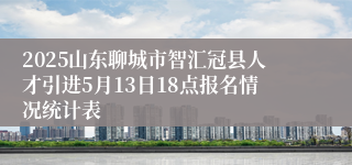 2025山东聊城市智汇冠县人才引进5月13日18点报名情况统计表