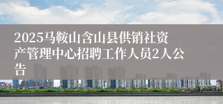 2025马鞍山含山县供销社资产管理中心招聘工作人员2人公告