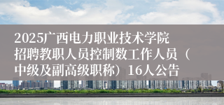2025广西电力职业技术学院招聘教职人员控制数工作人员（中级及副高级职称）16人公告