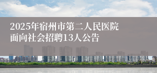 2025年宿州市第二人民医院面向社会招聘13人公告