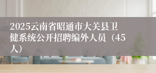 2025云南省昭通市大关县卫健系统公开招聘编外人员（45人）