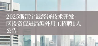2025浙江宁波经济技术开发区投资促进局编外用工招聘1人公告