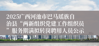 2025广西河池市巴马瑶族自治县“两新组织党建工作组织员”服务期满拟转岗聘用人员公示（第一批）